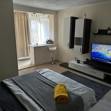 Reeas Apartament 蒂米什瓦拉 外观 照片
