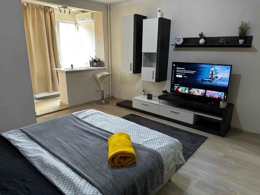 Reeas Apartament 蒂米什瓦拉 外观 照片