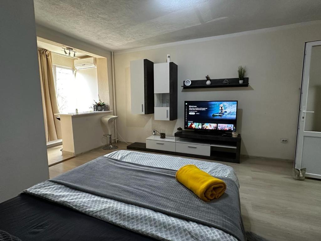 Reeas Apartament 蒂米什瓦拉 外观 照片