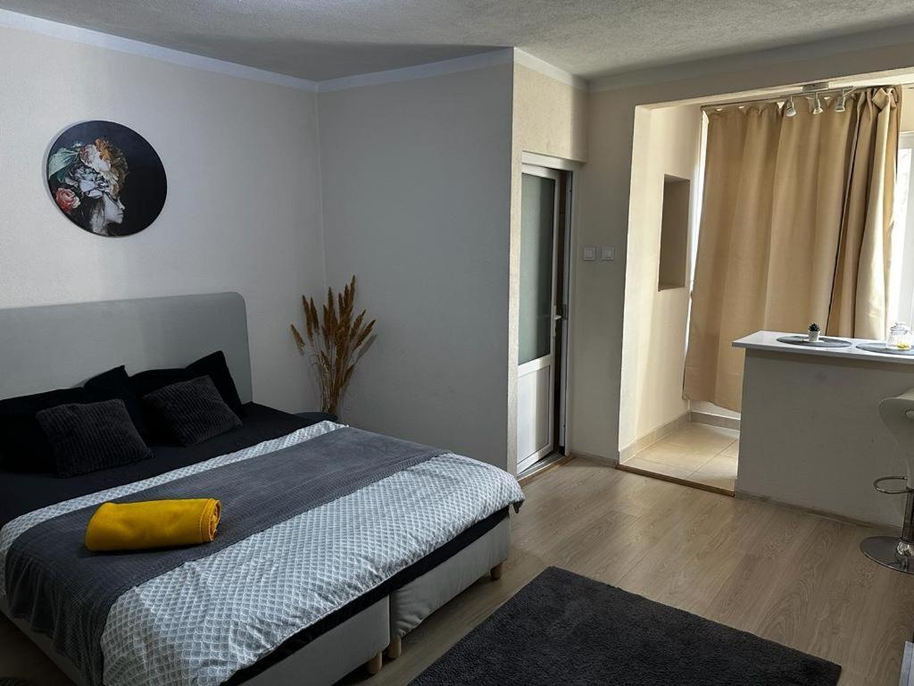 Reeas Apartament 蒂米什瓦拉 外观 照片