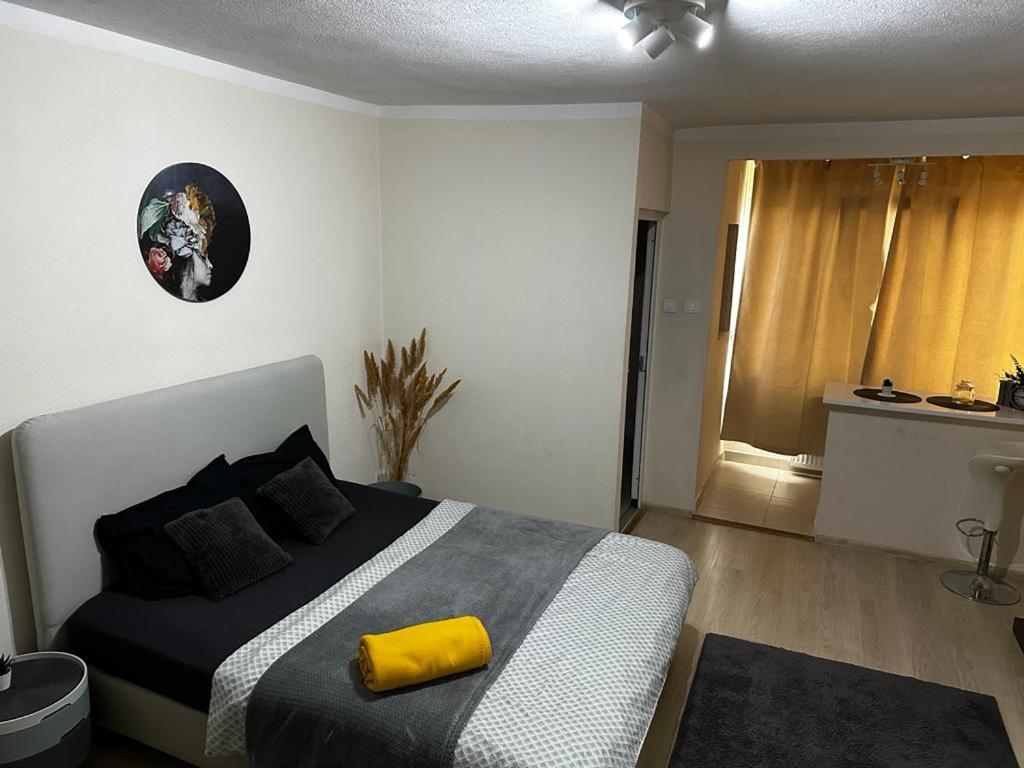 Reeas Apartament 蒂米什瓦拉 外观 照片