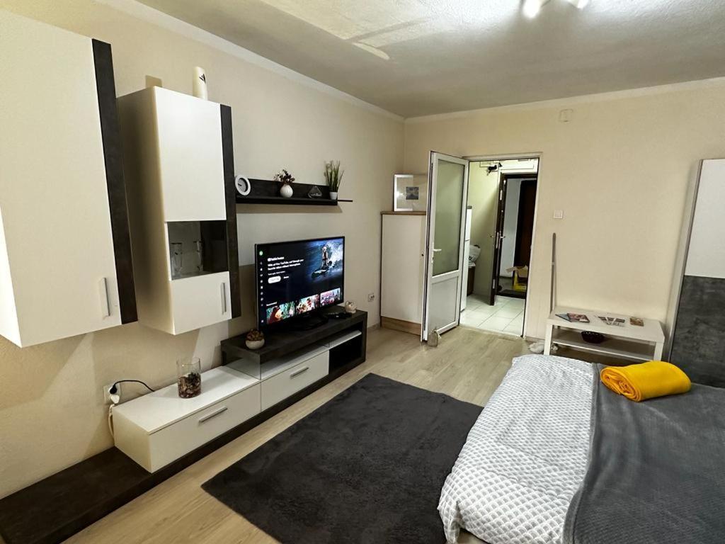 Reeas Apartament 蒂米什瓦拉 外观 照片