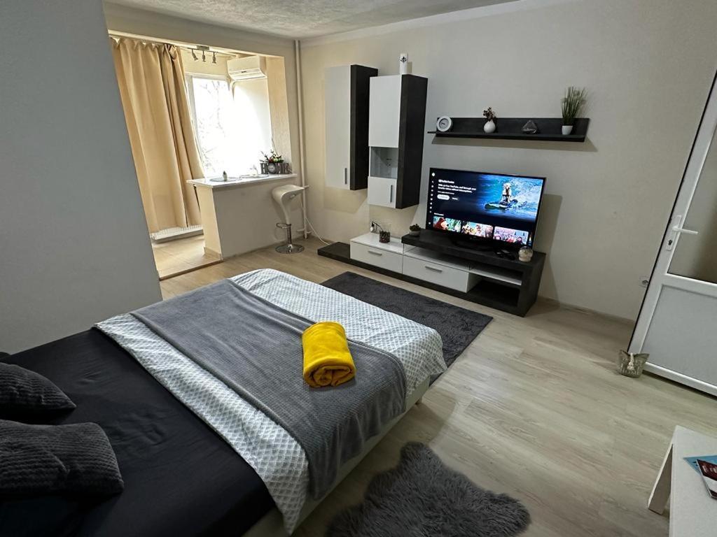 Reeas Apartament 蒂米什瓦拉 外观 照片