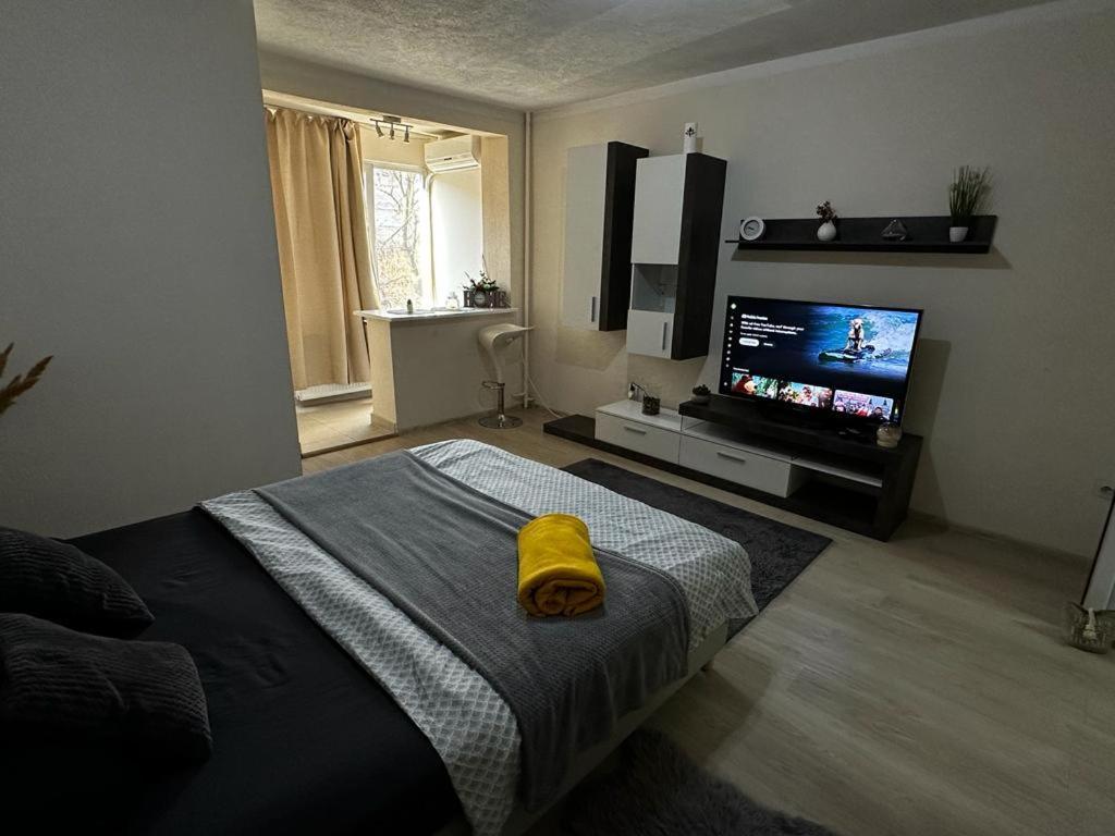 Reeas Apartament 蒂米什瓦拉 外观 照片