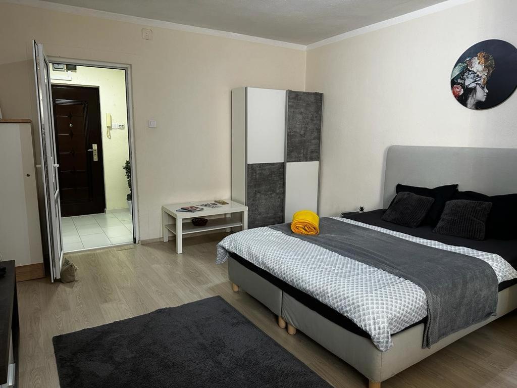 Reeas Apartament 蒂米什瓦拉 外观 照片