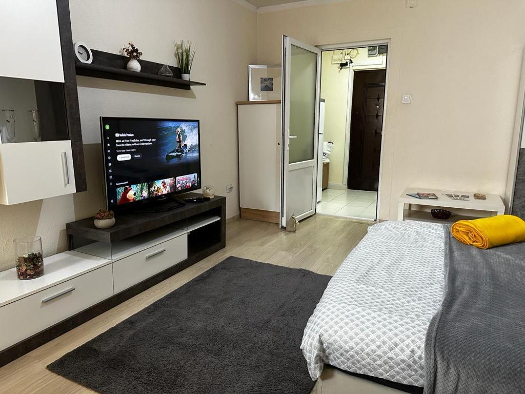 Reeas Apartament 蒂米什瓦拉 外观 照片