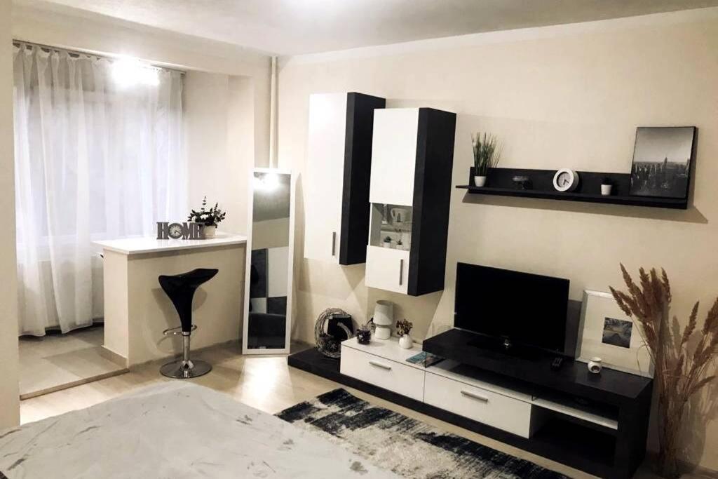 Reeas Apartament 蒂米什瓦拉 外观 照片