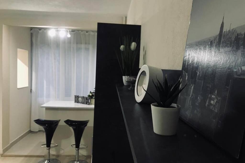 Reeas Apartament 蒂米什瓦拉 外观 照片