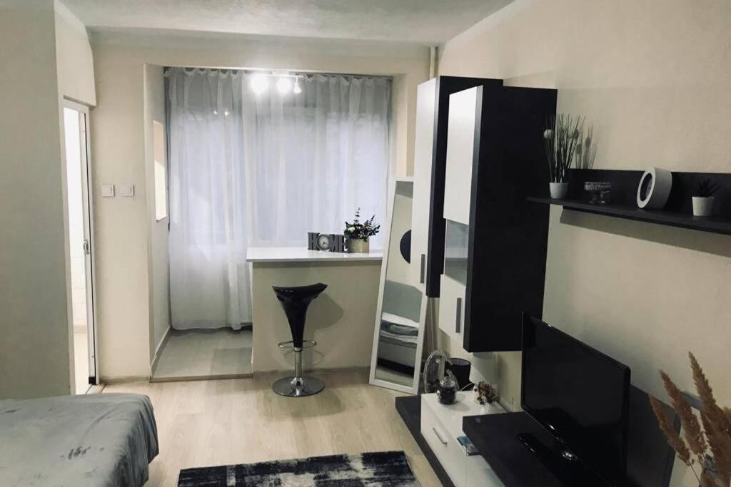 Reeas Apartament 蒂米什瓦拉 外观 照片